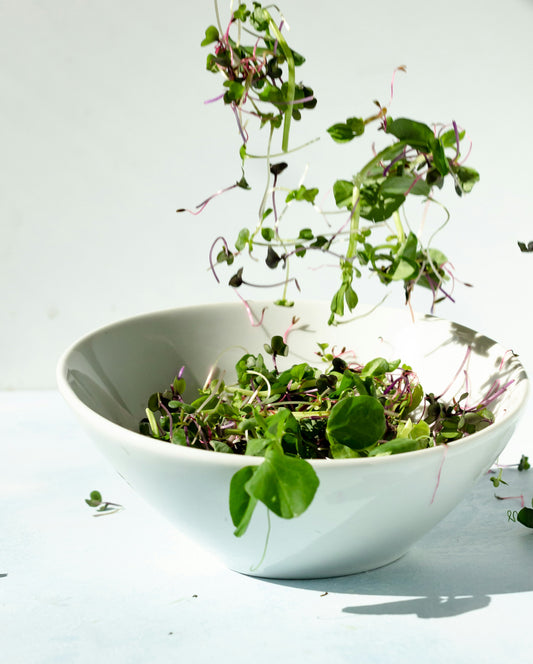 Collagen Boosting Foods (that taste great!)