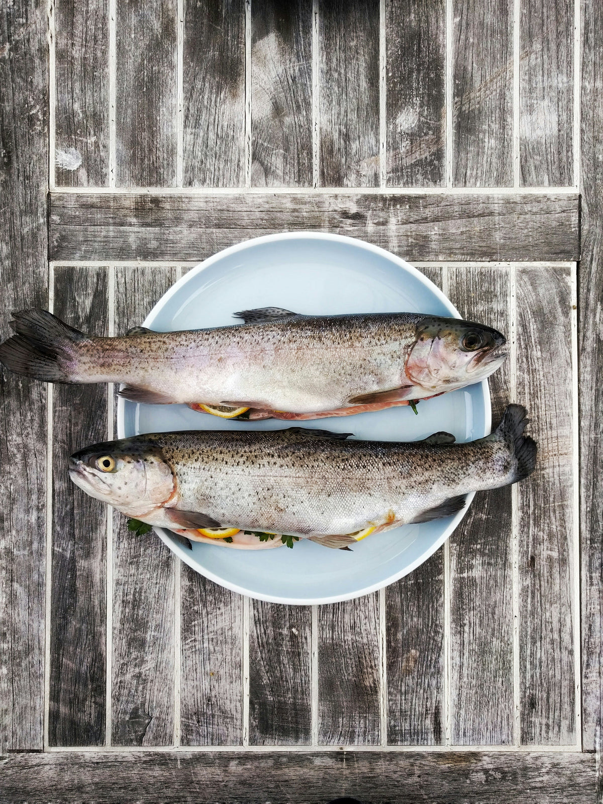 5 Supplements Every Woman Should Consider taking