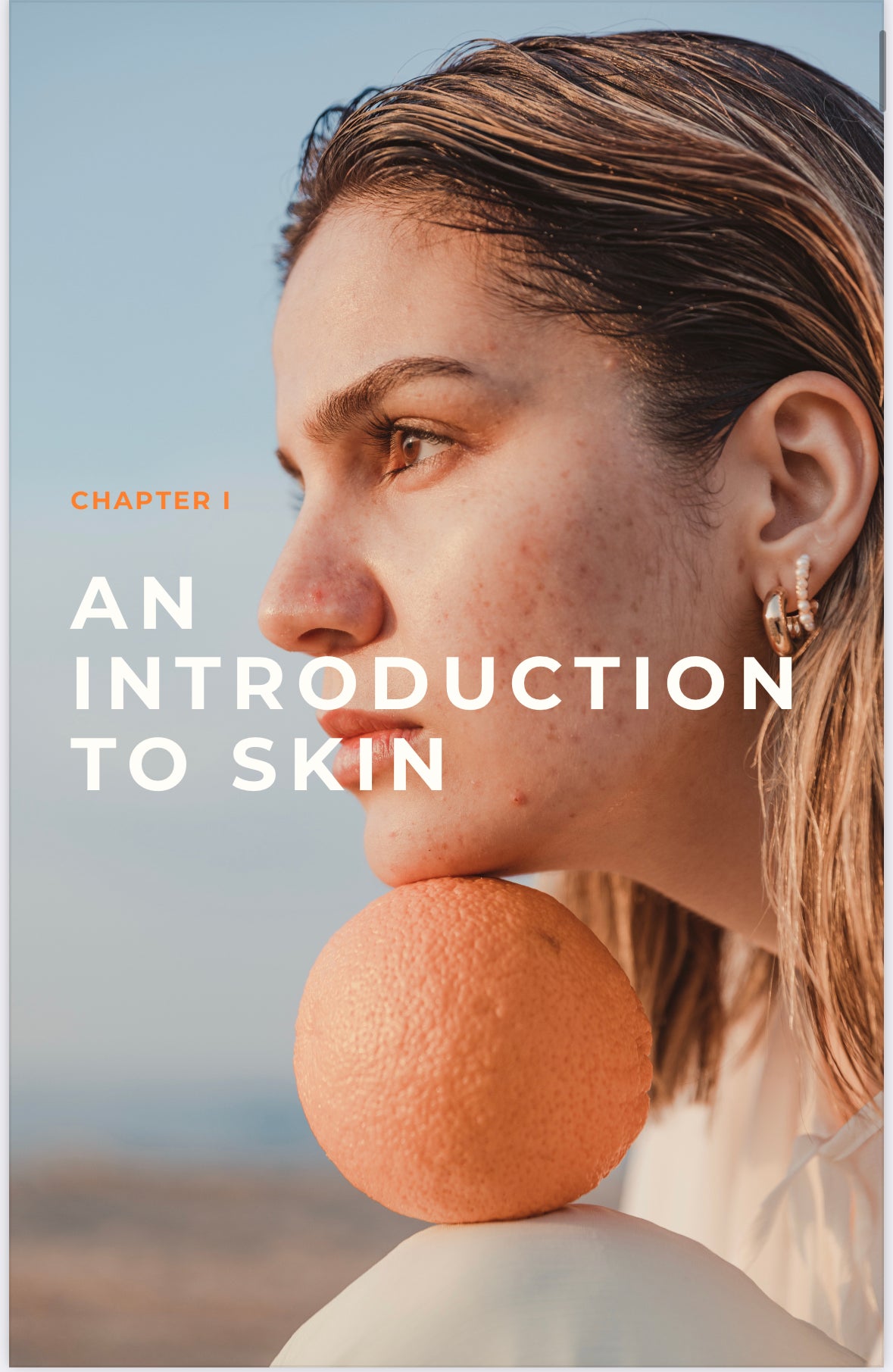 THE COMPLETE GUIDE TO HEALTHY SKIN  E-BOOK